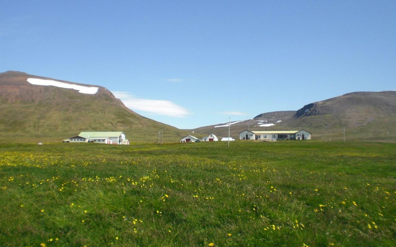 Holiday home Steinnyjarstathir Skagastrond