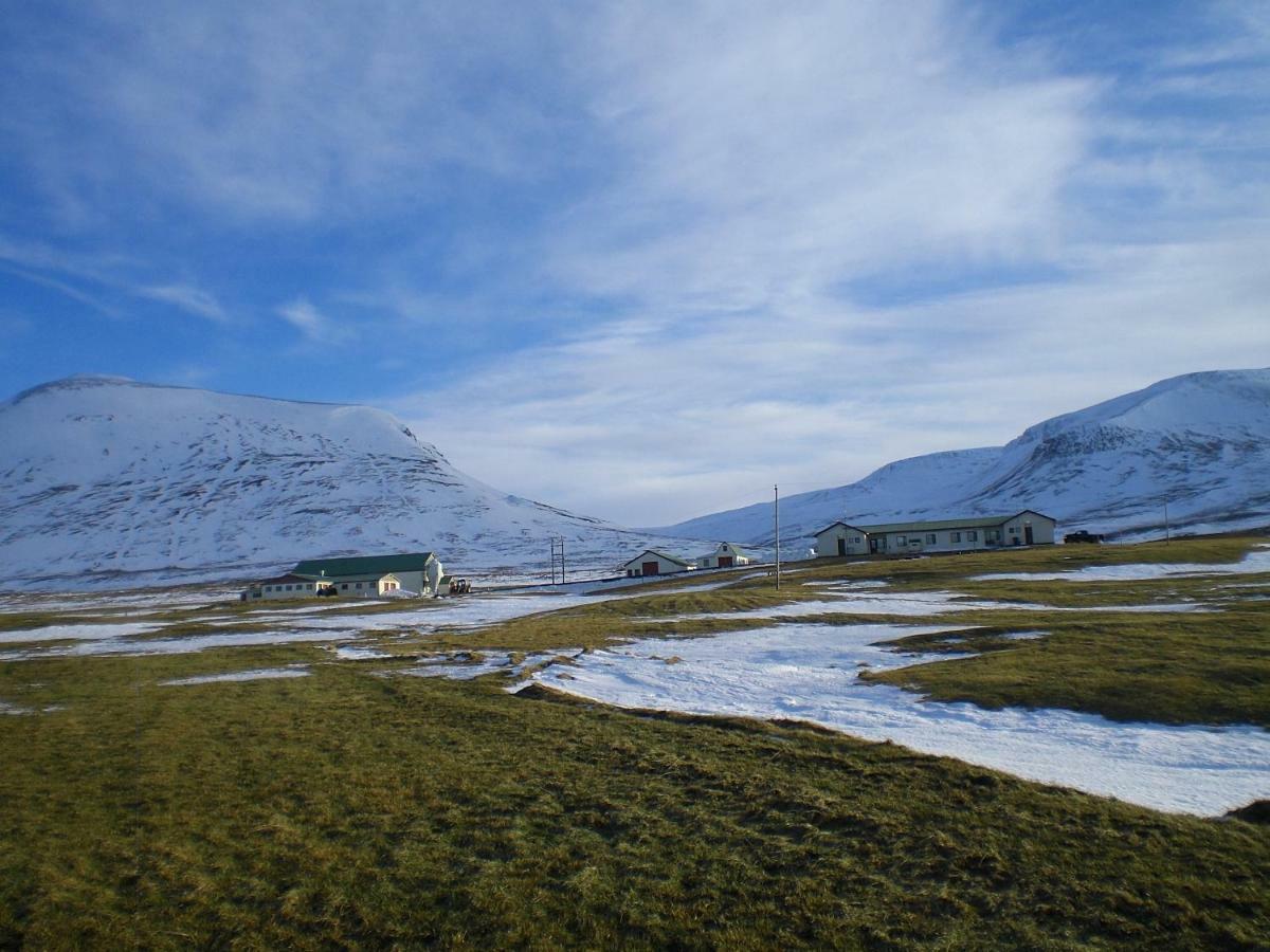 Steinnyjarstathir Holiday home Skagastrond